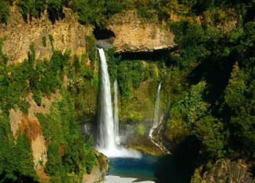 Radal Siete Tazas, un paraíso natural