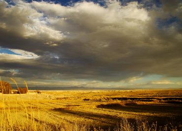 Un paraíso en medio del desierto